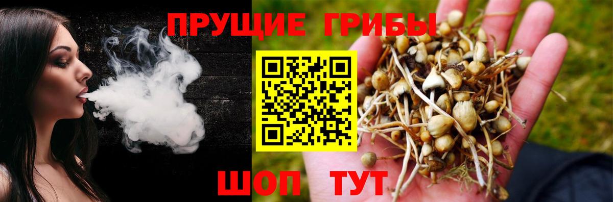 Галлюциногенные грибы ЛСД  Псилоцибиновые грибы Magic Shrooms  Вход с VPN  Юрга 